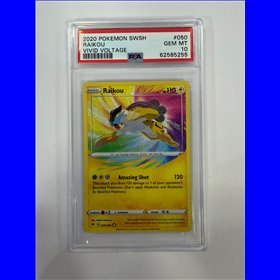 PSA - VIV 050 - Raikou (10)