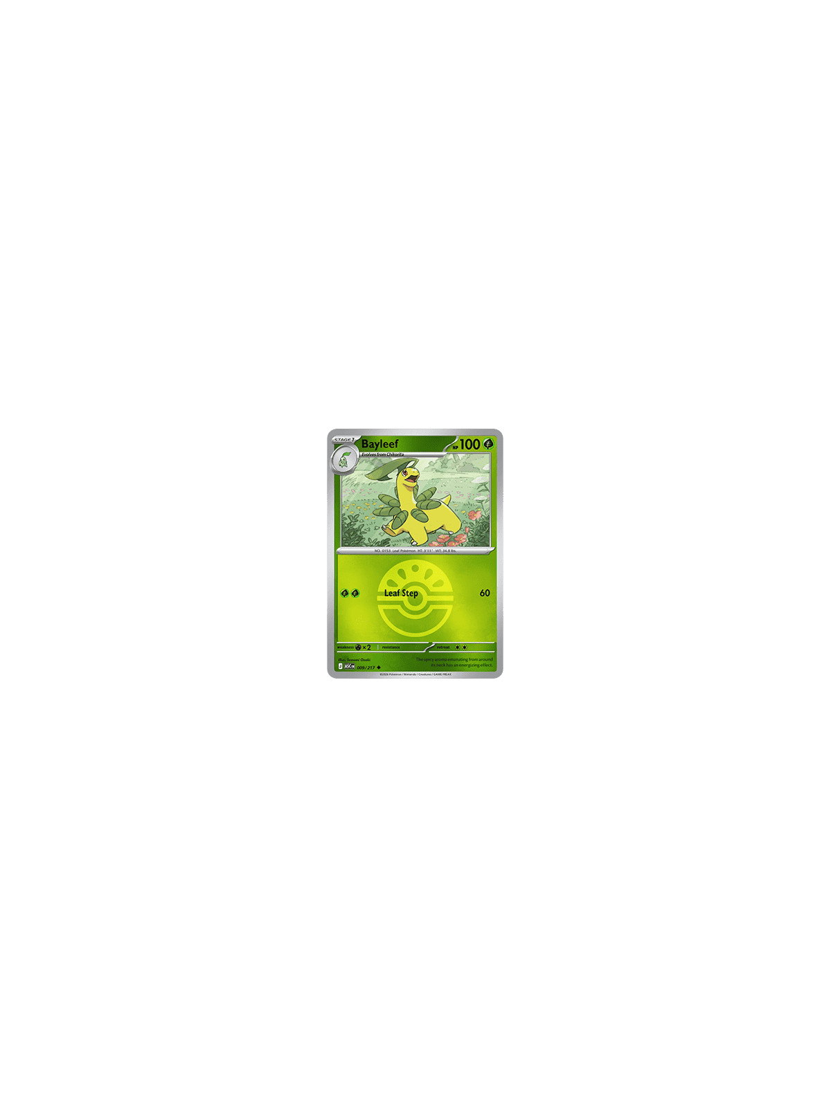 ASC 009 - Bayleef - PokeBall