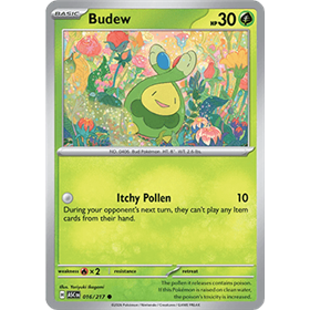 ASC 016 - Budew