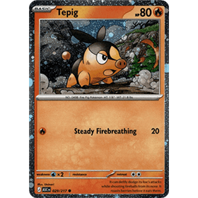 ASC 029 - Tepig - Holo