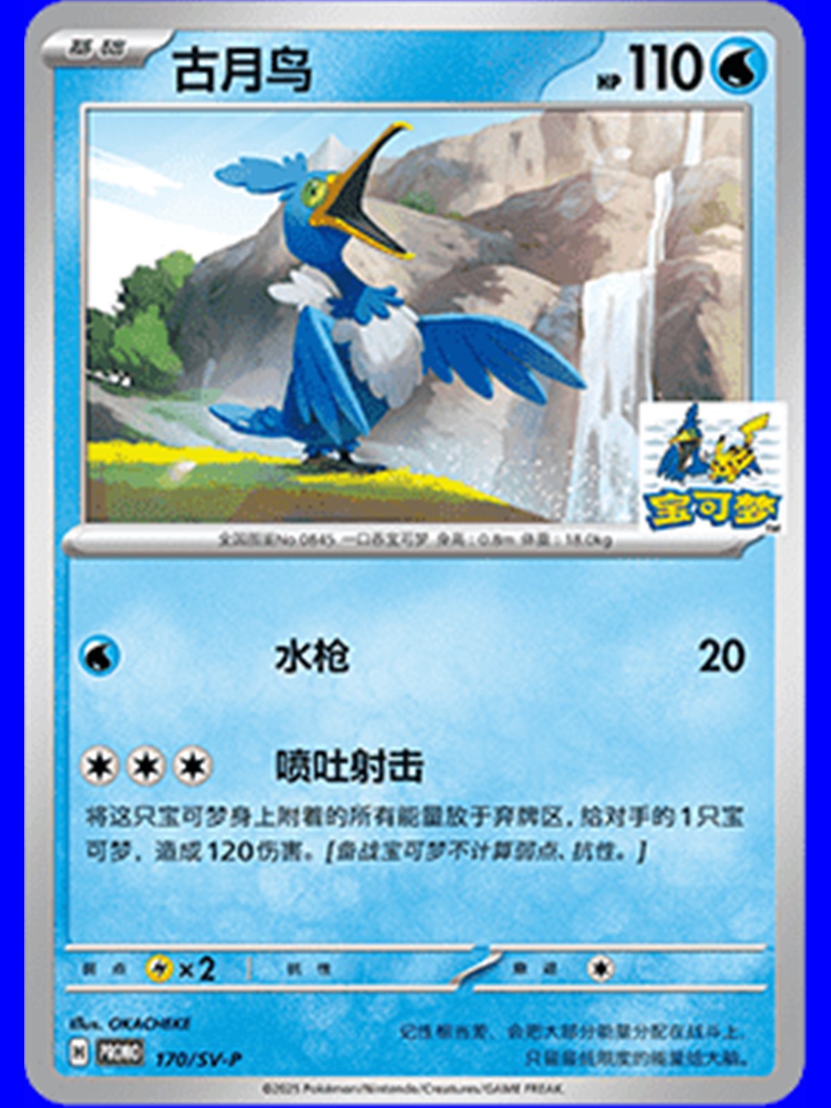 SV-P/CS 170 - Cramorant - Chinese