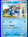 SV-P/CS 170 - Cramorant - Chinese