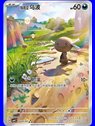 CBB4C 0507 - Paldean Wooper - Chinese