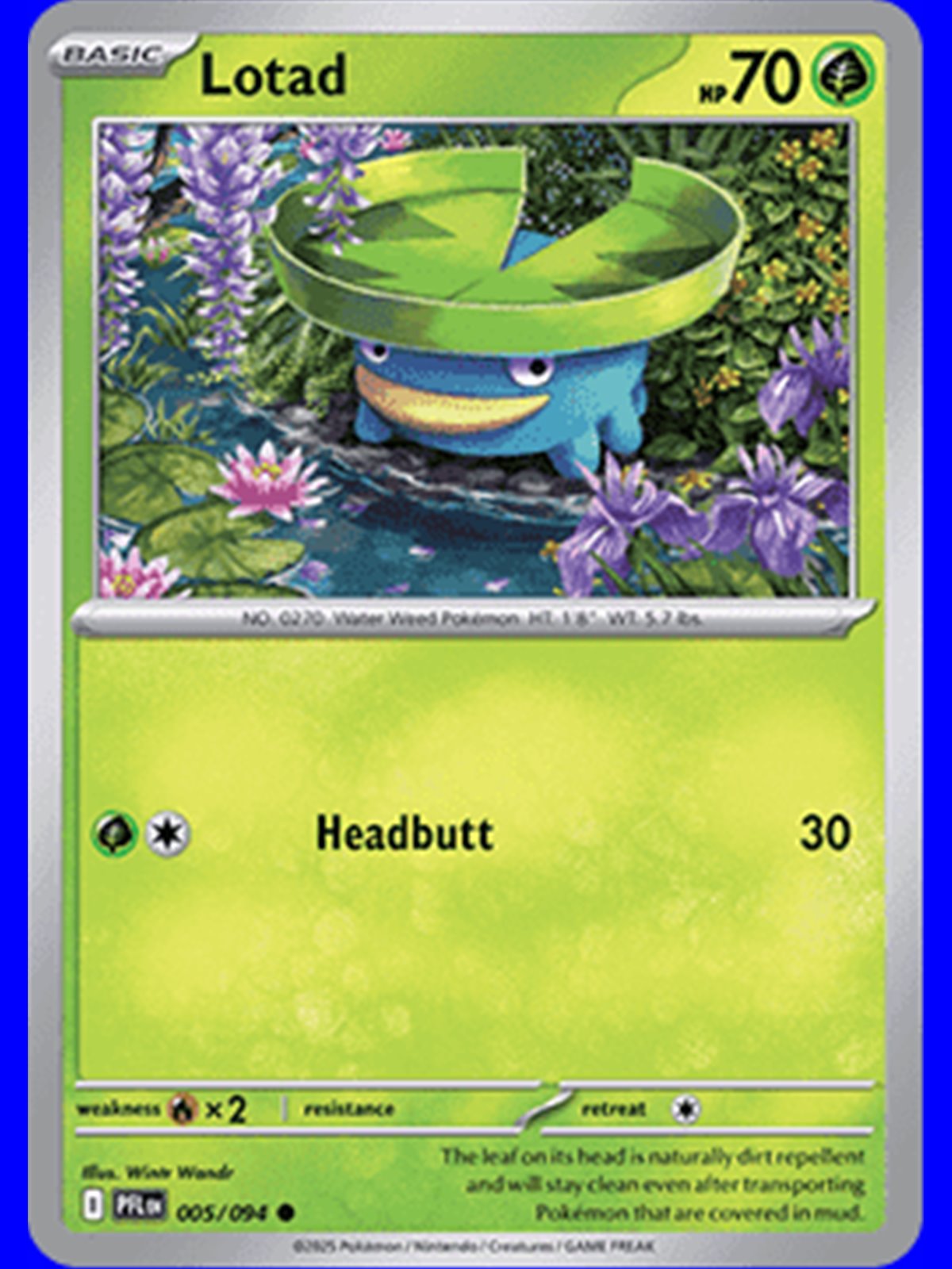 PFL 005 - Lotad - Reverse Holo