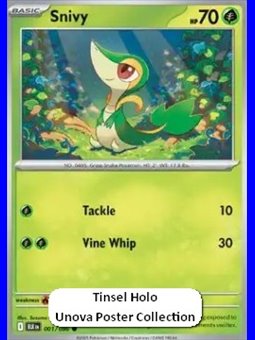 BLK 001 - Snivy - Holo
