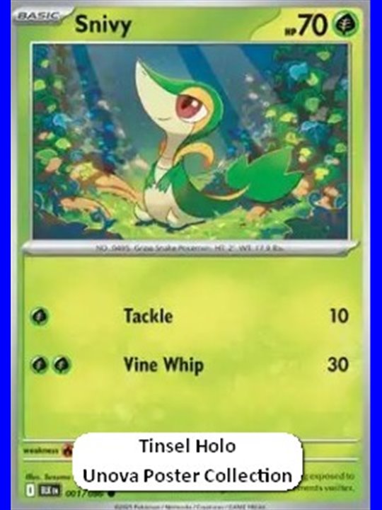 BLK 001 - Snivy - Holo