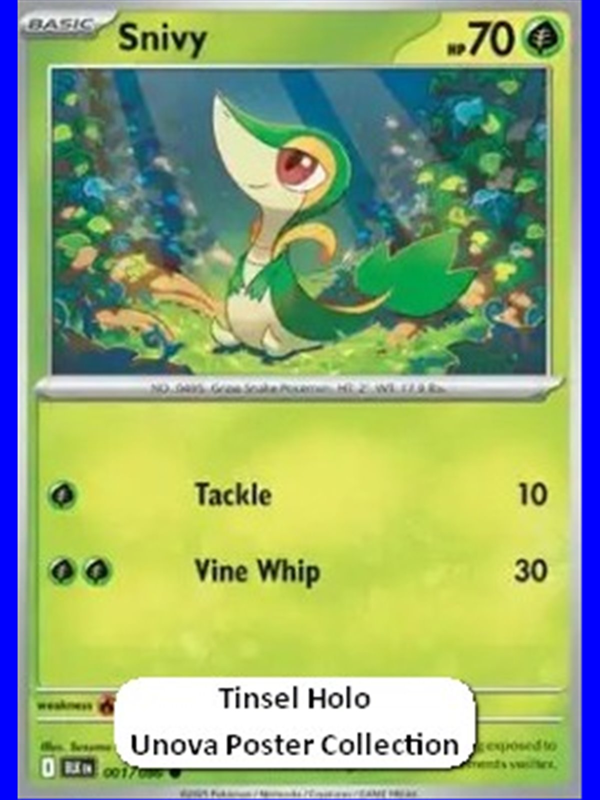 BLK 001 - Snivy - Holo