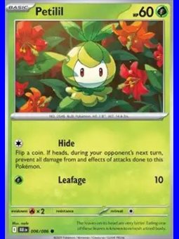 BLK 006 - Petilil - Reverse Holo