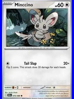 BLK 075 - Minccino