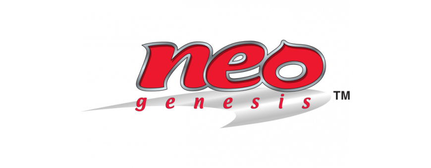 Pokémon Neo Genesis Series