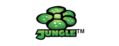 Jungle NL Pokemon-Karten kaufen, separat sammeln 2HG