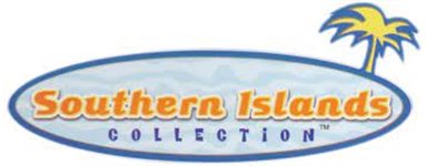Southern Islands buy Pokemon cards loose collect 2HG